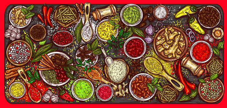 Vector illustration of a variety of spices and herbs on a wooden background, top view. Template, design element