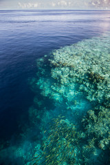 Fototapeta na wymiar Dramatic Coral Reef Drop Off in Wakatobi National Park
