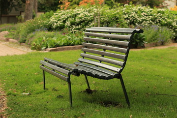 Bench in the park