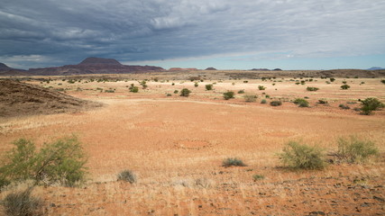Landscape of the Rocks and nature of Twyfelfontein, Namibia