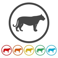 Panther, Cat icon design - Illustration 