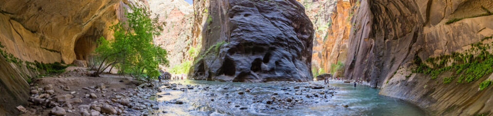 Fototapeta na wymiar Zion National Parks' Narrows