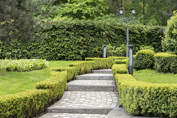 Cobbled stepped trail in a beautiful park framed by sheared shrubs