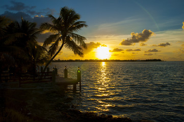 Fototapeta na wymiar sunset with palm tree over ocean 