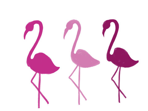 Colorful drawn bright flamingos for greeting card or advertisement on white background, isolated cartoon illustration painted by pencil chalk on white background, high quality