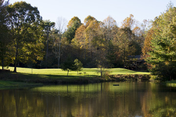 Obraz premium mountain rivers, streams rocky with running water