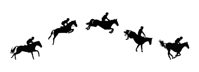 Foto op Canvas Horse race. Equestrian sport. Silhouette of racing horse with jockey. Jumping. Five steps. © yik2007