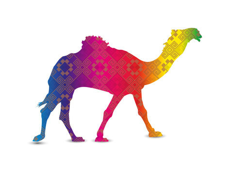 Silhouette of camel with indian colorful art background.