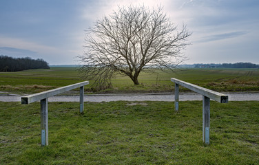 Plakat Baum auf dem Feld