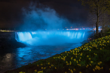 Niagara Falls at Night with Daffodils