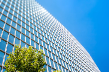 Modern office building with green leaves
