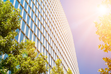 Contemporary office building with green leaves and sunlight