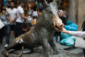 People put a coin in the mouth of bronze boar fountain at Il Mercato Nuovo or the New Market, Florence, Italy © Jopstock