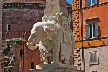 Roma l'elefantino del Bernini di piazza della Minerva