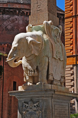 Roma l'elefantino del Bernini di piazza della Minerva