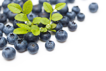 Fresh blueberries isolated on white