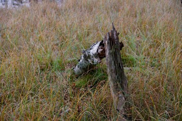 Outdoor, Freizeit, Alpen, Wandern, Bergsteigen