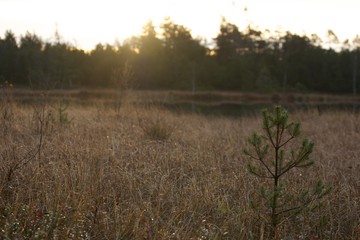 Obraz premium Outdoor, Freizeit, Alpen, Wandern, Bergsteigen