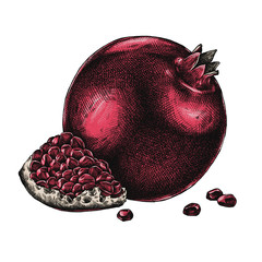 Engrave isolated pomegranate hand drawn graphic illustration