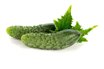 Cucumber on white background