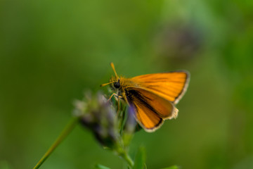 Fototapeta premium Outdoor, Freizeit, Alpen, Wandern, Bergsteigen