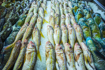 poisson sur marché, polynésie 2017