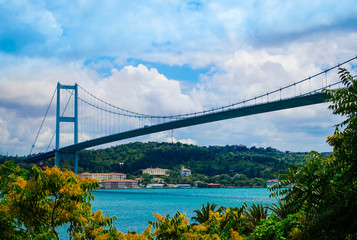 Bosphorus bridge in the spring