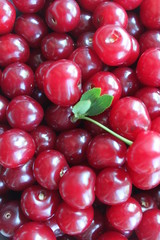 A lot of cherries