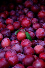 Plums Ameixas