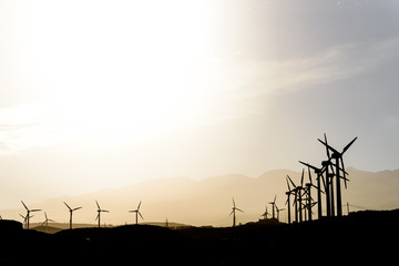 Obraz premium Wind farm at sunset. High contrast backlight with warm white balance. Poris de Abona, Tenerife. Canary Islands. 