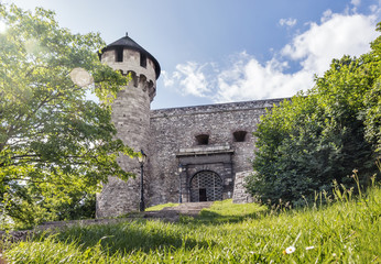 Middle age fortress and tower at green rural landscape