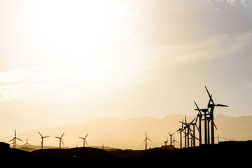 Obraz premium Wind farm at sunset. High contrast backlight with warm white balance. Poris de Abona, Tenerife. Canary Islands. 
