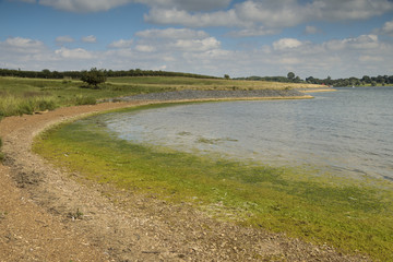 Up To The Headland