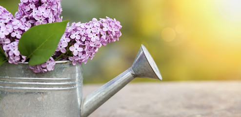 Website banner of purple flowers in a watering can