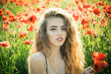 Naklejka premium pretty woman or girl in field of poppy seed