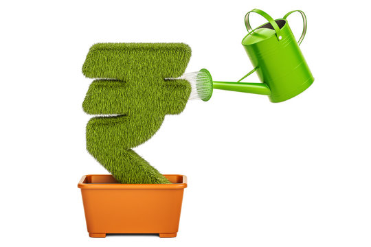 Watering can water grassy rupee symbol. Money plant concept, 3D rendering