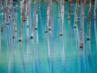 青い池