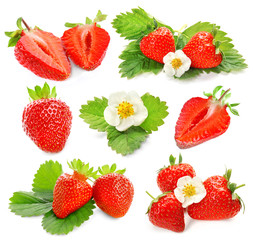 Ripe strawberries, flower and leaves on white background