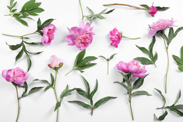 Composition of beautiful peonies on white background