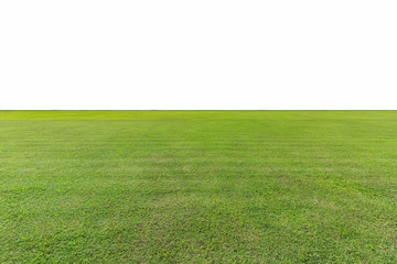 green lawn isolated - 163306166