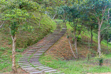 Stone steps going up hillside