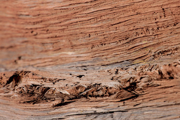 Dessert Wood Detail