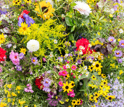 Fototapeta diferent flowers collected in a big arrangement
