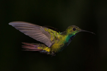 Stopped in the moment