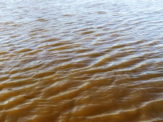 Water Waves In The River