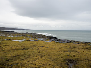 Fototapeta na wymiar By the Seaside in Ireland