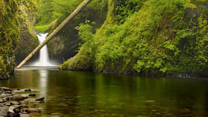 Punch Bowl Fall, Eagle Creek, Columbia River Gorge, Oregon