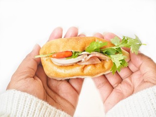 Sandwich vietnamese food on hands isolated