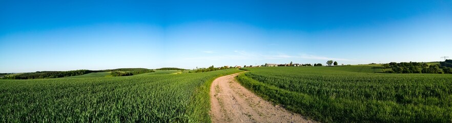 Fototapeta na wymiar Green field and clear blue sky panorama