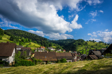 Fototapeta premium Natur, Tiere, Wandern, Freizeit, Erleben, Abenteuer, Alpen, Schwarzwald